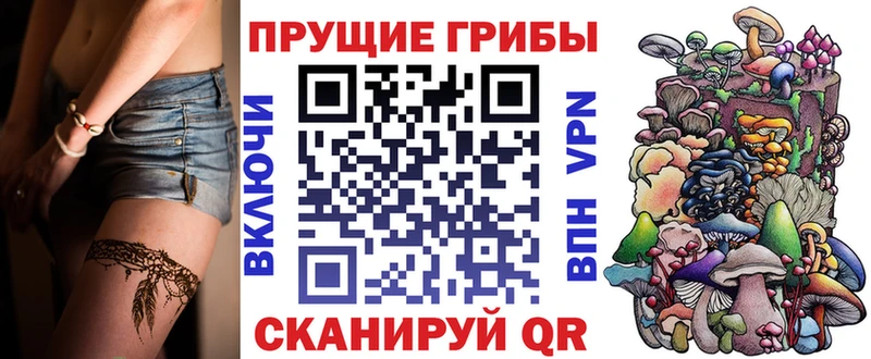 Псилоцибиновые грибы Psilocybine cubensis Апатиты