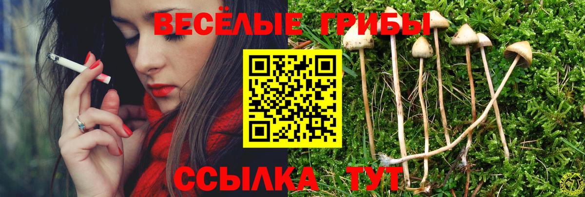 Псилоцибиновые грибы мухоморы Апатиты