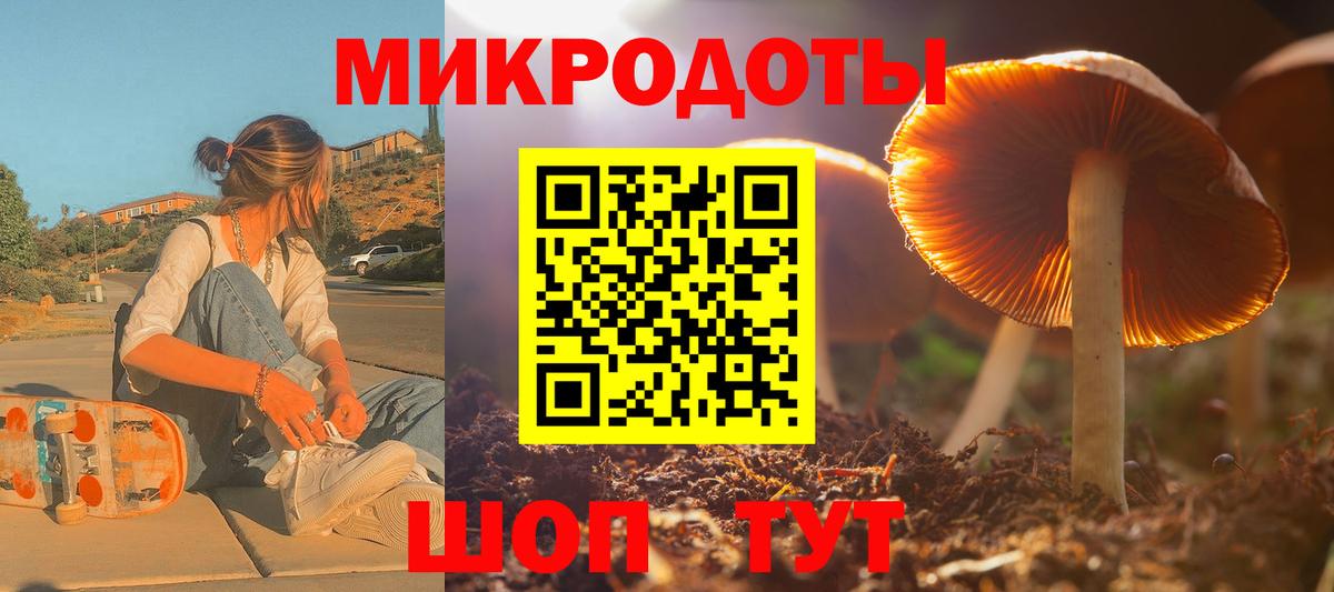 Псилоцибиновые грибы ЛСД  закладки  Апатиты  Вход с VPN  Галлюциногенные грибы Psilocybine cubensis 
