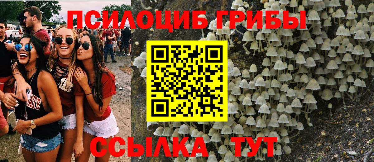 Галлюциногенные грибы мухоморы  Вход с VPN  Псилоцибиновые грибы мицелий  Апатиты 